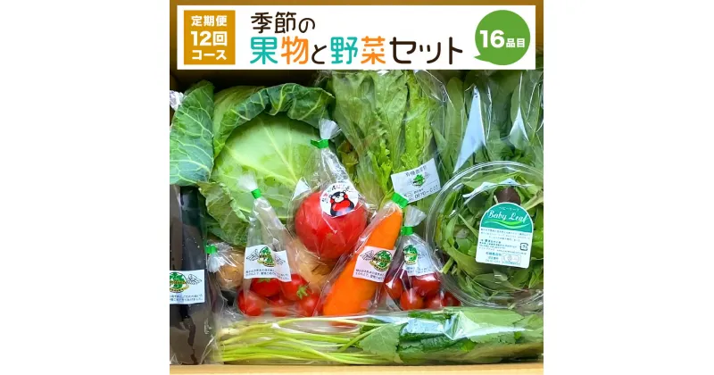 【ふるさと納税】【定期便 12回コース】 季節の果物野菜セット 16品目 毎月1回 計12回 定期便 フルーツ ベジタブル 詰め合わせ 新鮮 国産 九州産 熊本県産 送料無料