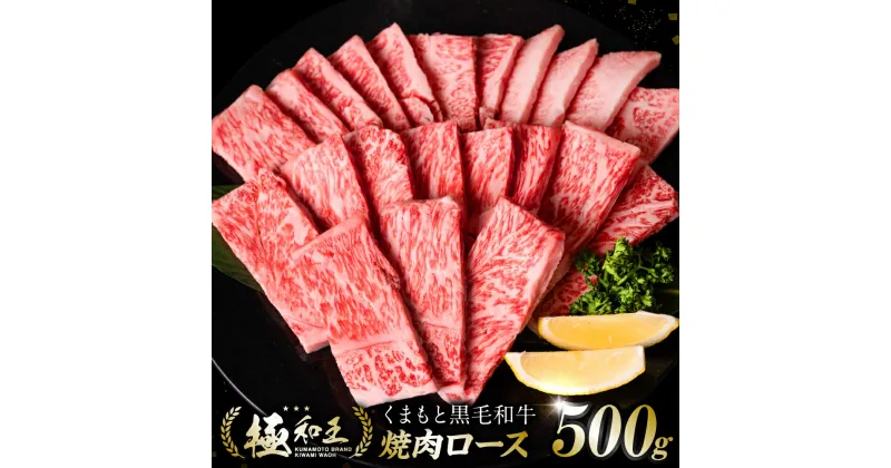 【ふるさと納税】 極和王シリーズくまもと黒毛和牛 焼肉ロース 500g A4-A5 ランク ロース 焼肉 焼き肉 国産牛 和王 黒毛和牛 和牛 牛 牛肉 お肉 肉 国産 熊本県産 冷凍 送料無料