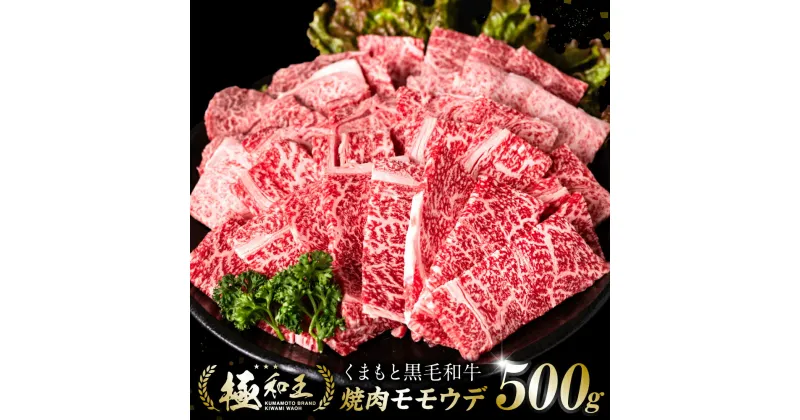 【ふるさと納税】 極和王シリーズ くまもと黒毛和牛 焼肉モモウデ 500g A4-A5 ランク 赤身 焼肉 焼き肉 国産牛 和王 黒毛和牛 和牛 牛 牛肉 お肉 肉 国産 熊本県産 冷凍 送料無料