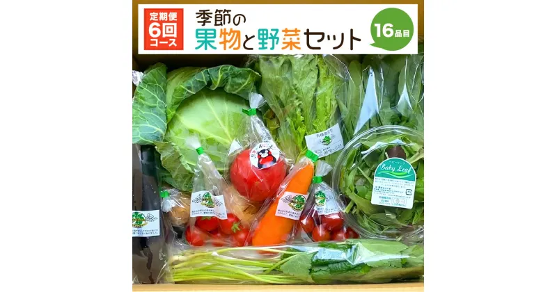 【ふるさと納税】【定期便6回】季節の 果物 と 野菜 セット 16品目 毎月1回 計6回 野菜定期便 フルーツ ベジタブル 詰め合わせ 新鮮 国産 九州産 熊本県産 送料無料