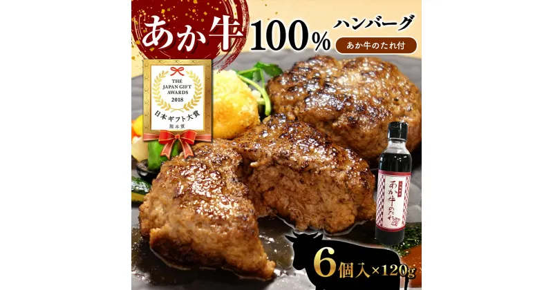 【ふるさと納税】あか牛100％ハンバーグセット (あか牛ハンバーグ120g×6個、あか牛のたれ200ml付き) 牛肉 冷凍 熊本 和牛