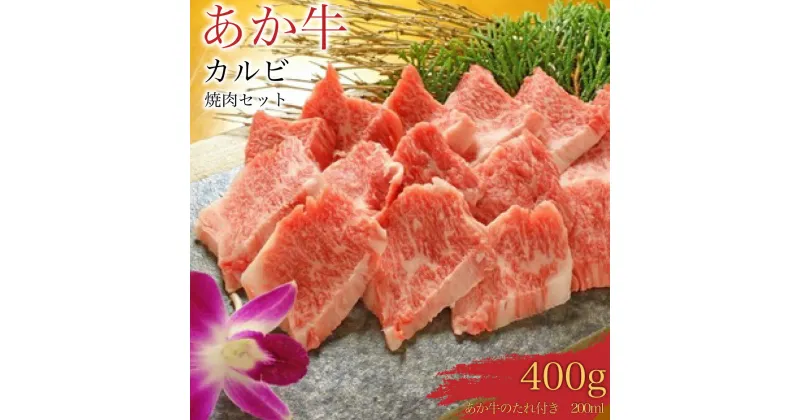 【ふるさと納税】あか牛 カルビ 焼肉セット400g あか牛のたれ 200ml付き お肉 牛肉 バラ肉 冷凍 熊本県産 九州産 国産 送料無料