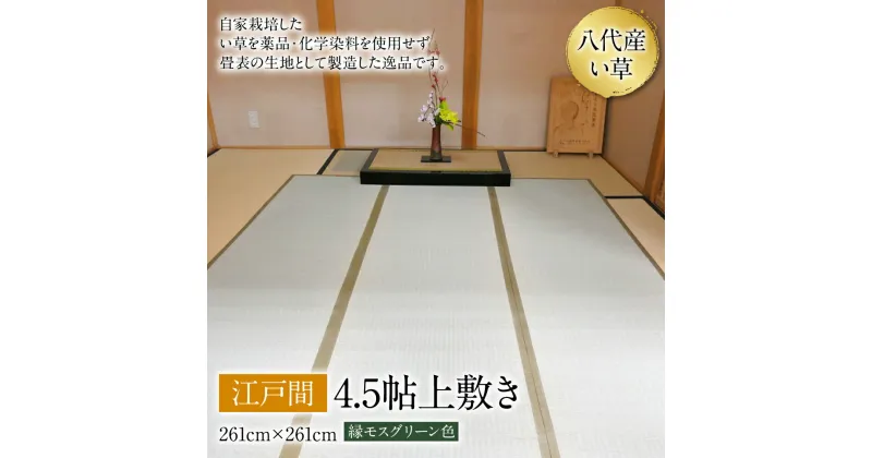 【ふるさと納税】八代産 い草 江戸間 4.5貼 上敷き 261cm×261cm イグサ 寝ござ ゴザ 工芸 上敷き 国産 九州 送料無料