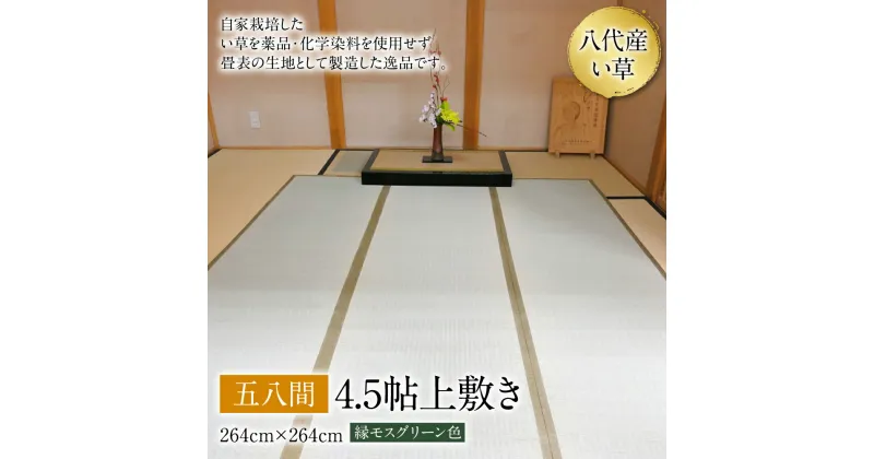 【ふるさと納税】八代産 い草 五八間 4.5貼 上敷き 264cm×264cm イグサ 寝ござ ゴザ 工芸 上敷き 国産 九州 送料無料