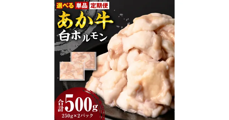 【ふるさと納税】 【選べる定期便・単品】 あか牛 白ホルモン 合計500g 250g×2パック ホルモン もつ 小分け 冷凍 熊本県産 九州産 国産 送料無料