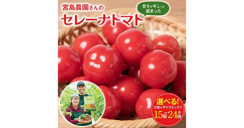 【ふるさと納税】【先行予約】セレーナトマト サイズミックス24個または大粒15個 400g以上 選べるサイズ 宮島農園 トマト 野菜 赤 ミニトマト プチトマト サラダ 生野菜 旬 冷蔵 八代市産 国産 熊本県 九州 送料無料 【2024年11月下旬より順次発送】