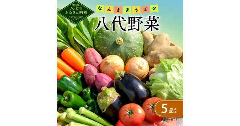 【ふるさと納税】なんさまうまか 八代野菜セット 5品以上 野菜 やさい 詰め合わせ 旬の野菜 新鮮 朝採れ 八代よかとこ物産館 国産 九州産 熊本県産 送料無料