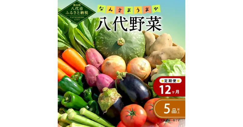 【ふるさと納税】【定期便12回】なんさまうまか 八代野菜セット 5品以上 野菜 やさい 詰め合わせ 旬の野菜 新鮮 朝採れ 八代よかとこ物産館 国産 九州産 熊本県産 送料無料