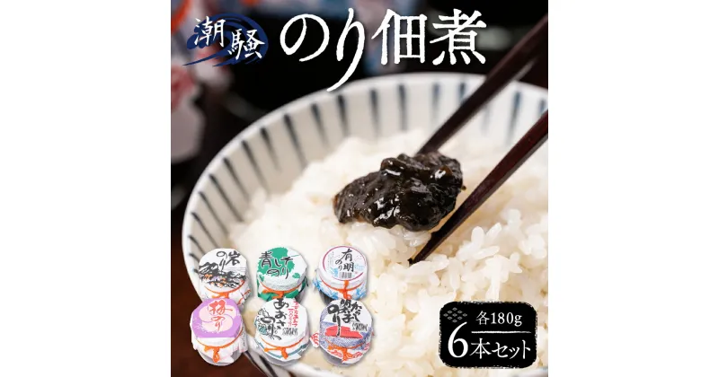 【ふるさと納税】潮騒 のり佃煮 6本 セット 180g 6種 海苔の佃煮 つくだに 海苔 岩のり 辛子明太子のり 青しそのり 梅のり 有明のり 100％あおさのり ごはんのお供 食べ比べ おかず 国産 熊本県 八代市 送料無料