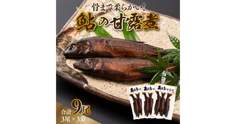 【ふるさと納税】あゆ甘露煮 合計9尾 3尾×3袋 骨まで柔らか 鮎の甘露煮 甘露煮 アユ 鮎 煮物 おかず おつまみ 惣菜 国産 熊本県 八代市 送料無料