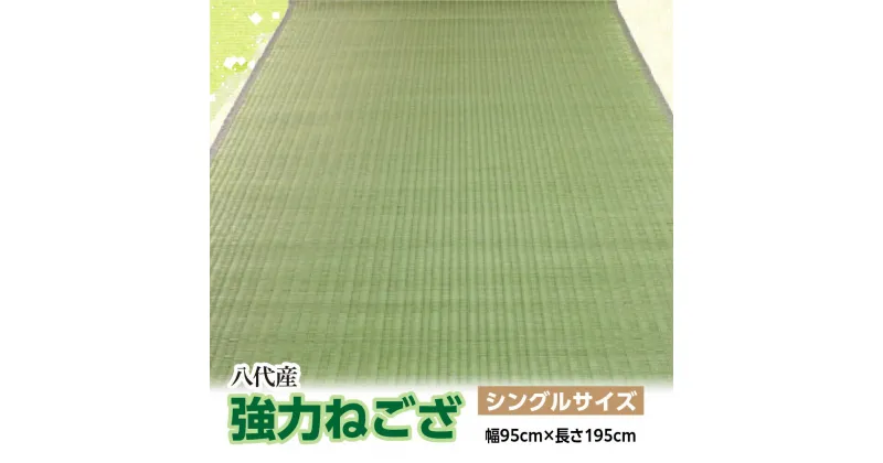 【ふるさと納税】八代産 い草 強力ねござ シングルサイズ 幅95cm×長さ195cm 1枚 イグサ 熊本県産 ラグ マット 和風 寝ござ ゴザ 工芸 伝統 上敷き 国産 九州 送料無料