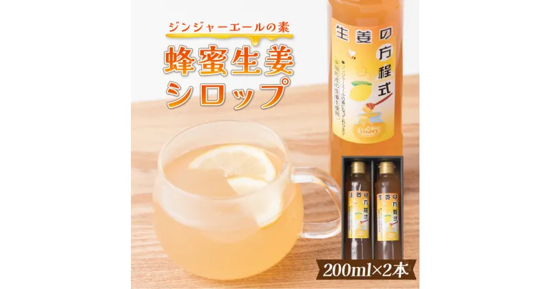 【ふるさと納税】蜂蜜生姜シロップ（ジンジャーエールの素） 200ml×2本 合計400ml 生姜の方程式 シロップ ショウガ 割材 瓶 国産 熊本県 九州 送料無料