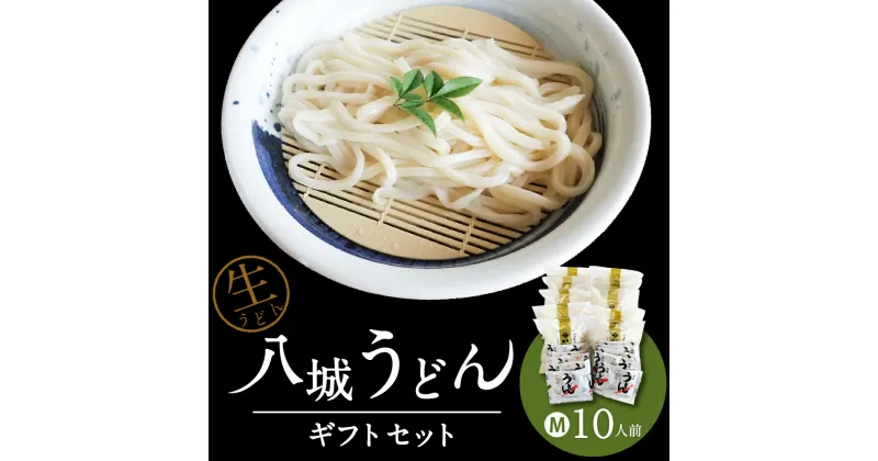 【ふるさと納税】八城うどん ギフトセットM 10人前 10食 生うどん 粉末 スープ やつしろうどん うどん ギフト プレゼント 八代市 九州 国内製造 冷蔵 送料無料