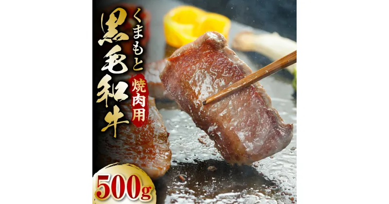 【ふるさと納税】くまもと黒毛和牛 焼肉用 500g 黒毛和牛 和牛 牛肉 焼肉 焼き肉 国産 九州産 熊本県産 送料無料