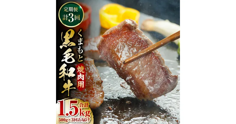 【ふるさと納税】【定期便3回】くまもと黒毛和牛 焼肉用 500g ×3回 黒毛和牛 牛肉 焼肉 焼き肉 国産 九州産 熊本県産 送料無料