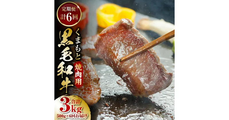 【ふるさと納税】【定期便6回】くまもと黒毛和牛 焼肉用 500g ×6回 黒毛和牛 牛肉 焼肉 焼き肉 国産 九州産 熊本県産 送料無料