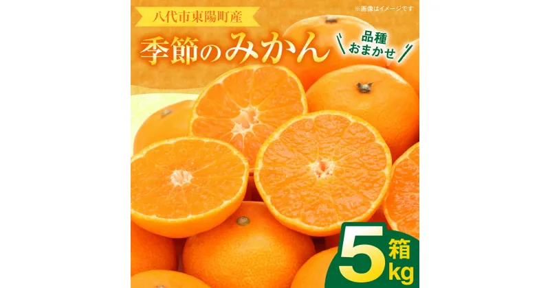 【ふるさと納税】 八代市東陽町産の季節の みかん 5kg 箱入り ミカン 果物 おまかせ 柑橘 フルーツ 旬 お取り寄せ 国産 送料無料