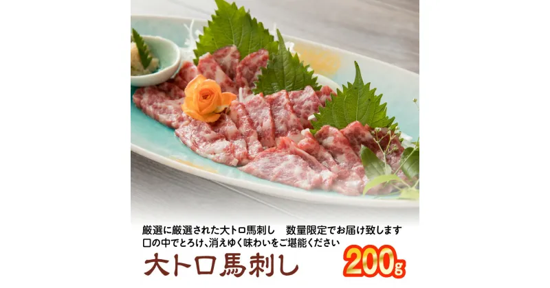 【ふるさと納税】大トロ 馬刺し 200g 小袋生姜・醤油付き 馬刺し 馬肉 刺身 冷凍 送料無料