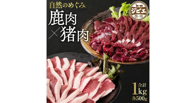 【ふるさと納税】自然のめぐみ 猪肉500g 鹿肉500g 合計1kg セット ジビエ イノシシ シカ お肉 冷凍 精肉 食品 食べ比べ 八代市産 熊本県 九州 送料無料