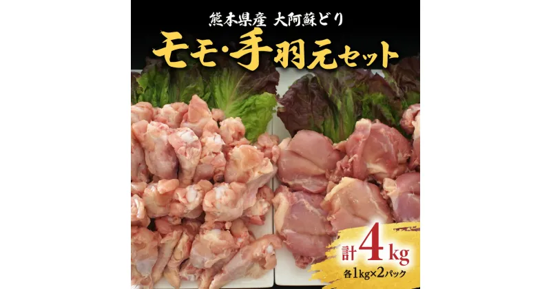 【ふるさと納税】熊本県産 大阿蘇どり モモ・手羽元 合計約4kg セット 各約1kg×2パック 2種 鶏肉 もも 手羽 真空パック 冷凍 国産 九州 送料無料