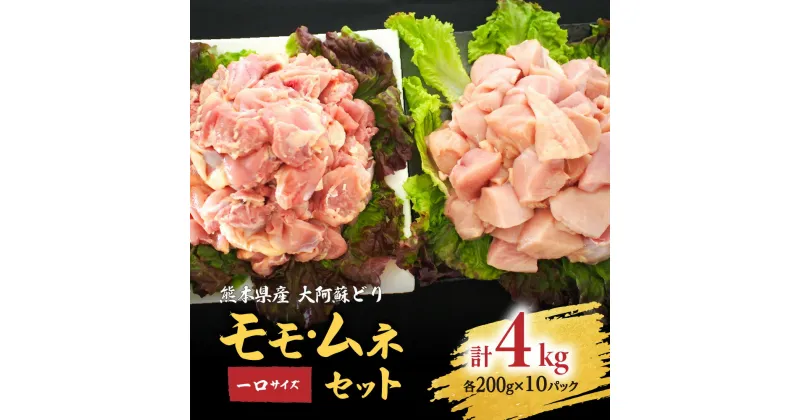 【ふるさと納税】熊本県産 大阿蘇どり 一口サイズ モモ ムネ 合計約4kg セット 各約200g×10パック 2種 鶏肉 もも 胸 真空パック 冷凍 国産 九州 送料無料