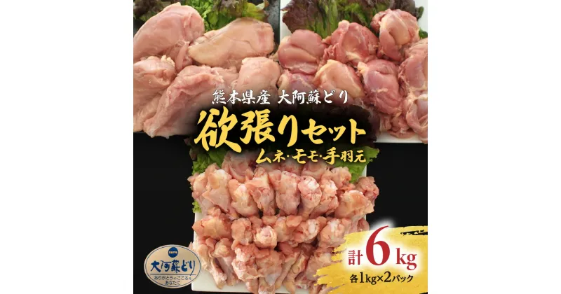 【ふるさと納税】熊本県産 大阿蘇どり 欲張り 合計約6kg セット モモ・ムネ・手羽元 各約1kg×2パック 3種 鶏肉 もも 胸 手羽 詰め合わせ 真空パック 冷凍 国産 九州 送料無料