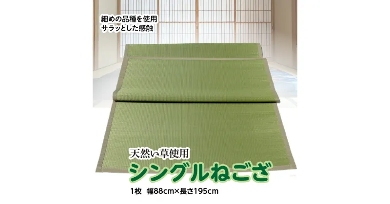 【ふるさと納税】八代産 い草 シングル ねござ 幅88cm×長さ195cm 1枚 イグサ 熊本県産 ラグ マット 和風 寝ござ ゴザ 工芸 伝統 上敷き 国産 九州 送料無料