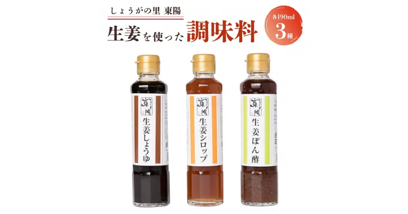 【ふるさと納税】しょうがの里東陽 生姜を使った 調味料 3本 セット (190ml×3種) 詰め合わせ ショウガ 生姜シロップ 生姜ポン酢 生姜しょうゆ 鍋 熊本県 八代市 送料無料