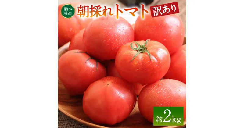 【ふるさと納税】【先行予約】【訳あり】朝採れトマト 約2kg 熊本県 八代市産 野菜 とまと 送料無料【2024年11月上旬より順次発送】