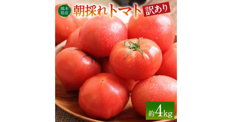 【ふるさと納税】【先行予約】【訳あり】朝採れトマト 約4kg 熊本県 八代市産 野菜 とまと 送料無料【2024年11月上旬より順次発送】