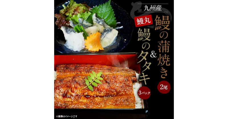 【ふるさと納税】鰻の蒲焼2尾 鰻のタタキ3パック セット 合計約650g 鰻丸 九州産 鰻 うなぎ ウナギ 蒲焼き 手作業 詰合せ 詰め合わせ 冷凍 国産 九州産 送料無料