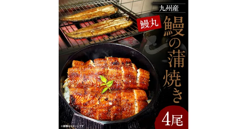 【ふるさと納税】鰻の蒲焼4尾 セット 合計約800g 鰻丸 九州産 鰻 うなぎ ウナギ 蒲焼き 手作業 冷凍 国産 九州産 送料無料 支援 生産者応援