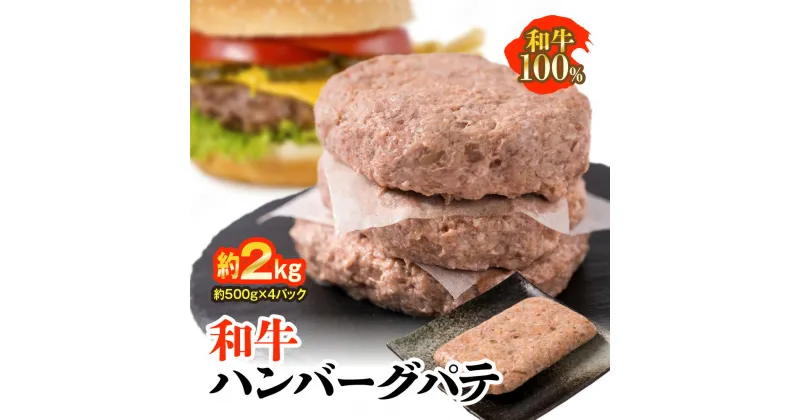 【ふるさと納税】和牛 ハンバーグ パテ 約2kg 約500g×4パック 国産牛 九州産 和牛100％ お肉 牛肉 味付き ミンチ 冷凍 小分け 国産 九州 送料無料