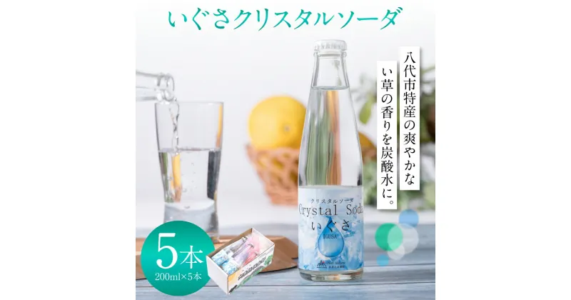 【ふるさと納税】いぐさクリスタルソーダ 200ml ×5本