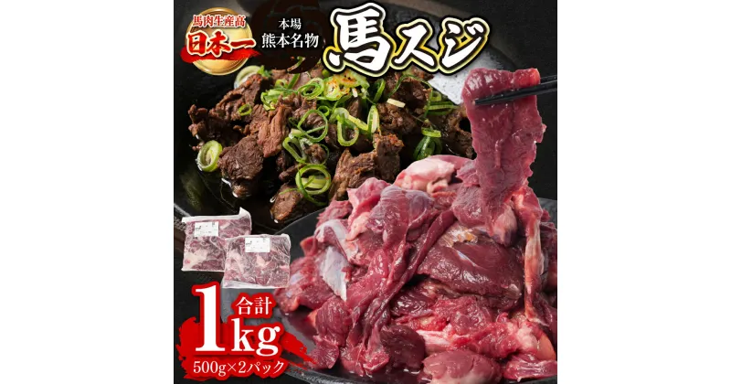 【ふるさと納税】馬スジ 合計1kg 約500g×2パック 馬肉 冷凍 煮込み ヘルシー 低カロリー 送料無料