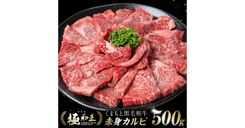 【ふるさと納税】 極和王シリーズ くまもと黒毛和牛 赤身カルビ焼肉 500g A4-A5 ランク 赤身 スライス 国産牛 和王 黒毛和牛 和牛 牛 牛肉 お肉 肉 国産 熊本県産 冷凍 送料無料