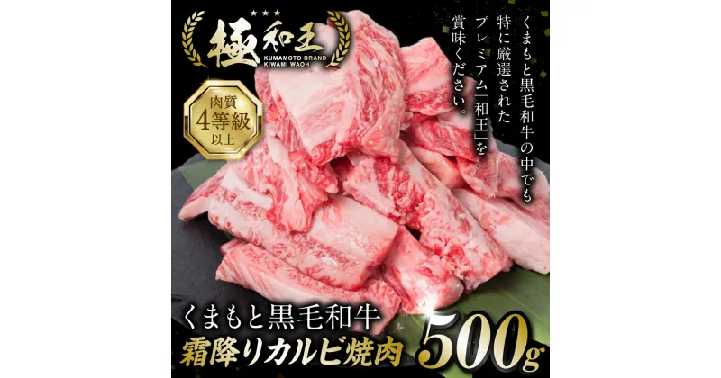 【ふるさと納税】 極和王シリーズ くまもと黒毛和牛 霜降りカルビ焼肉 500g A4-A5 ランク 焼肉 焼き肉 国産牛 和王 黒毛和牛 和牛 霜降り 牛 牛肉 お肉 肉 国産 熊本県産 冷凍 送料無料