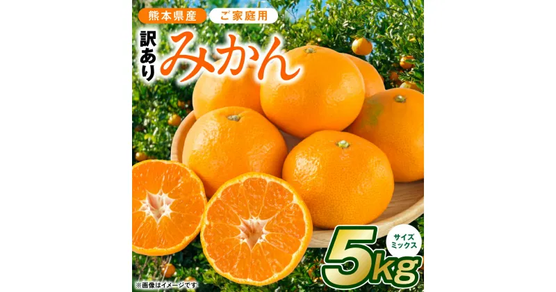 【先行予約】【訳あり】熊本県産 みかん サイズミックス 約5kg ご家庭用 フルーツ 果物 柑橘 送料無料【2024年12月下旬より順次発送】