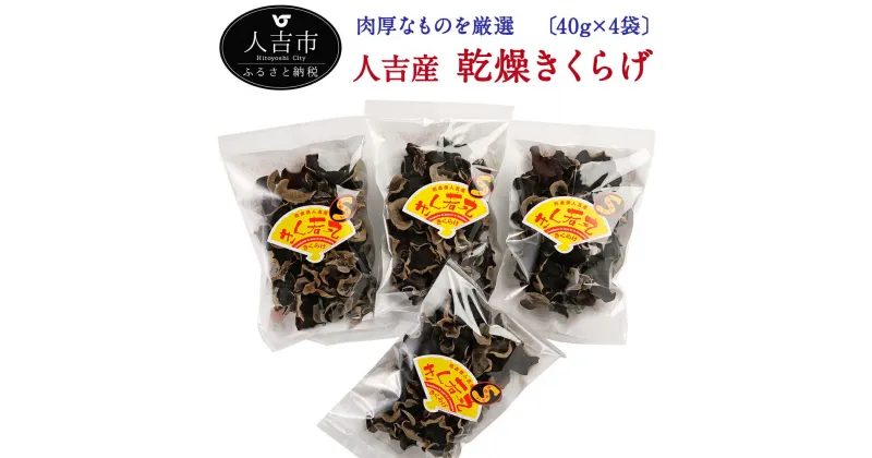 【ふるさと納税】熊本県人吉産 せんい生活の乾燥きくらげ 肉厚厳選 約40g×4袋 人吉産 九州産 木耳 希少 国産きくらげ きのこ 送料無料