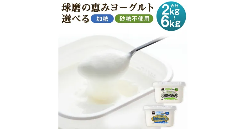 【ふるさと納税】球磨の恵み ヨーグルト 加糖/砂糖不使用 2kg/3kg/4kg/6kg 選べる種類 選べる内容量 1パック1kg 人吉球磨産 乳製品 送料無料