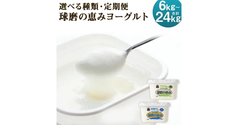 【ふるさと納税】【選べる定期便】球磨の恵み ヨーグルト 加糖/砂糖不使用 2kg/3kg/4kg 3ヶ月/6ヶ月 選べる種類 選べる内容量 定期便 無糖 人吉球磨産 乳製品 送料無料