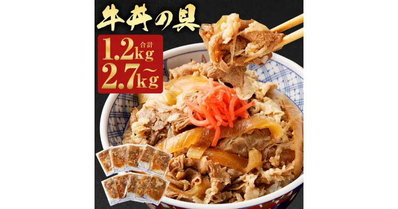 【ふるさと納税】牛丼の具 8パック/10パック/18パック 選べる内容量 1パック150g レトルト 牛丼セット ふるさと納税熊本県 人吉市ふるさと納税 冷凍牛丼 セット 冷凍食品 どんぶりの具 湯煎 電子レンジ レンチン 牛丼の素 温めるだけ 和牛 国産牛 九州