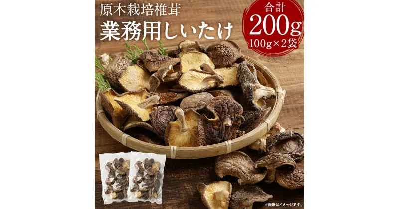 【ふるさと納税】訳あり 原木栽培椎茸 業務用しいたけ 合計200g 100g×2袋 ご家庭用 生椎茸 しいたけ きのこ 熊本県人吉産 九州 冷蔵 送料無料