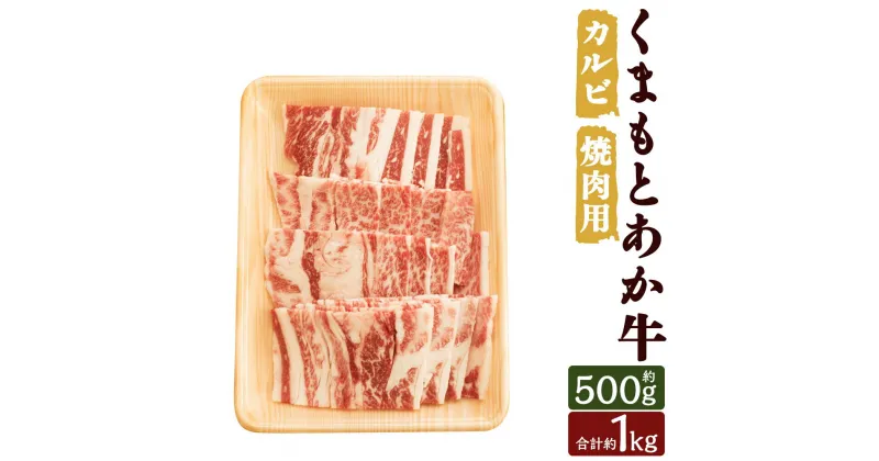 【ふるさと納税】くまもとあか牛 カルビ 焼肉用 約500g/約1kg 選べる内容量 お肉 和牛 牛肉 焼き肉 カルビ 熊本県産 九州産 国産 冷凍 送料無料