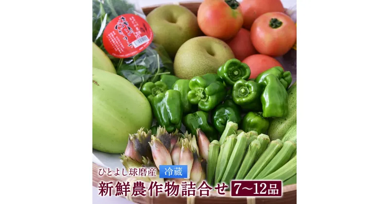 【ふるさと納税】ひとよし球磨産 新鮮農作物詰め合わせ 7〜12品 野菜 きのこ 詰め合わせ セット 熊本県産 九州産 野菜 冷蔵 送料無料【2024年12月上旬より順次発送予定】