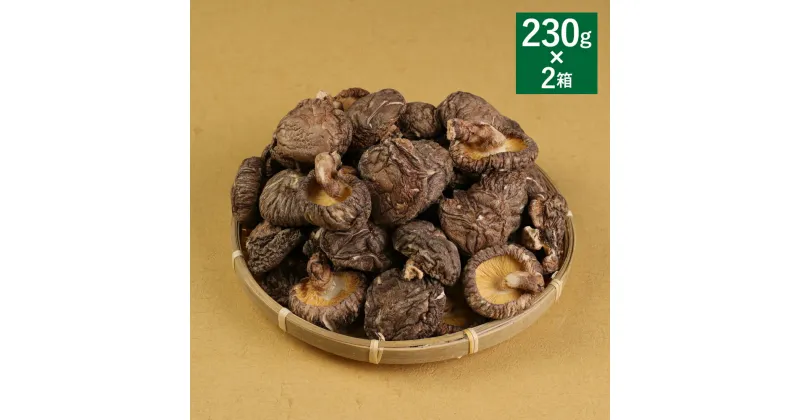 【ふるさと納税】 熊本県 人吉 球磨産 乾椎茸どんこ箱詰 230g×2箱セット 椎茸 しいたけ 干し椎茸 干ししいたけ 乾椎茸 どんこ 原木栽培 送料無料