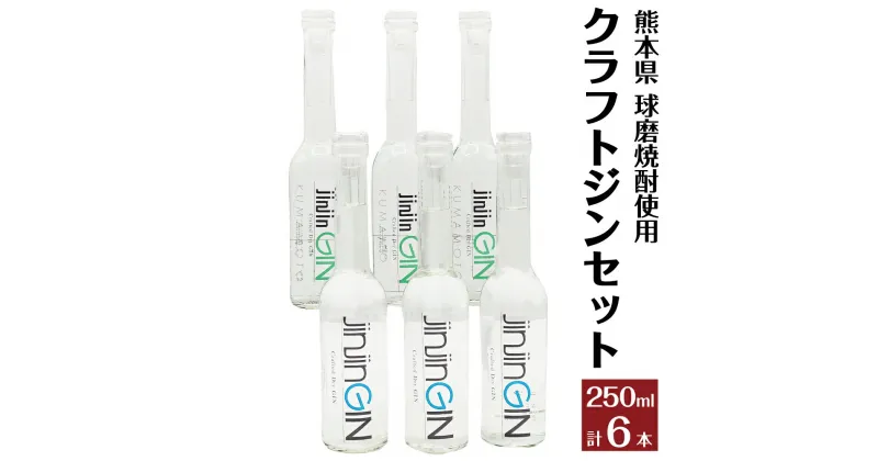 【ふるさと納税】球磨焼酎ベースの熊本初クラフトジンセット 合計6本 2種類 250ml×各3本 クラフトジン 球磨焼酎 熊本県産 人吉市産 ジン 焼酎 お酒 アルコール セット ストレート ロック 送料無料