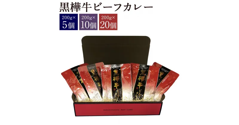 【ふるさと納税】黒樺牛ビーフカレー 200g 5個/10個/20個 5人前 10人前 20人前 カレー ビーフカレー 黒樺牛 くろはなぎゅう レトルトカレー レトルト食品 レトルト セット 送料無料