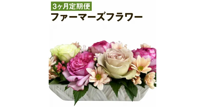 【ふるさと納税】【3ヶ月定期便】ファーマーズフラワー by the Bouquet KUMAMOTO 3回お届け 35×35×35cm 種類おまかせ ランダム 定期便 フラワーアレンジメント 花 お花 フラワー インテリア 贈り物 熊本県 人吉市 送料無料