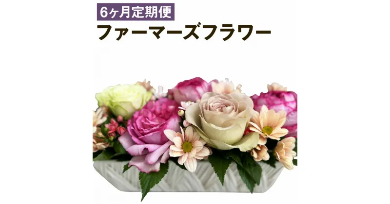 【ふるさと納税】【6ヶ月定期便】ファーマーズフラワー by the Bouquet KUMAMOTO 6回お届け 35×35×35cm 種類おまかせ ランダム 定期便 フラワーアレンジメント 花 お花 フラワー インテリア 贈り物 熊本県 人吉市 送料無料